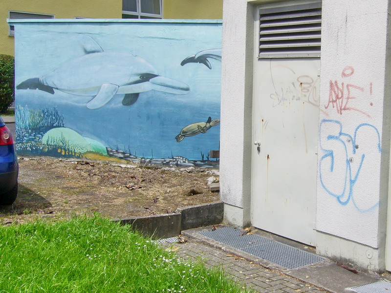 P1160833d.jpg