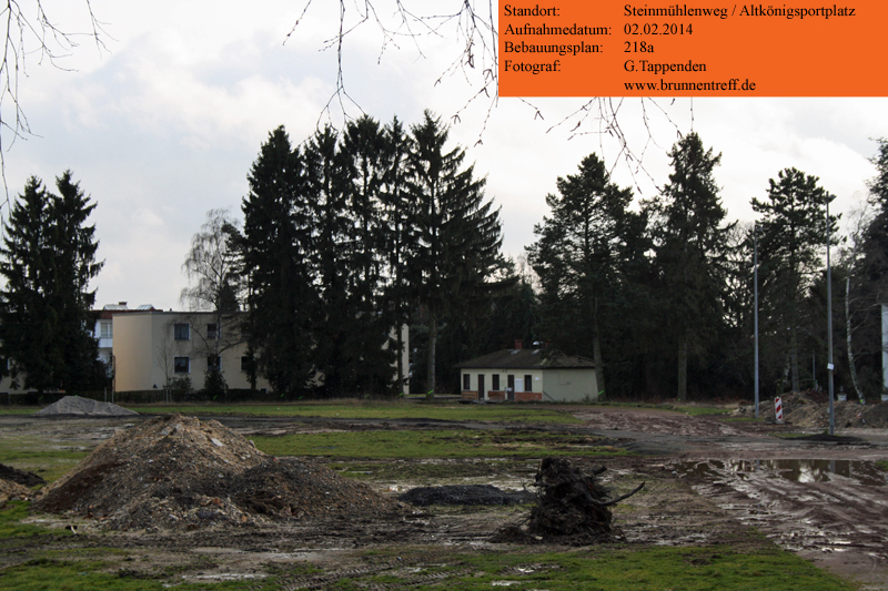 08-baeume-altkoenigsportplatz.jpg 08-baeume-altkoenigsportplatz.jpg