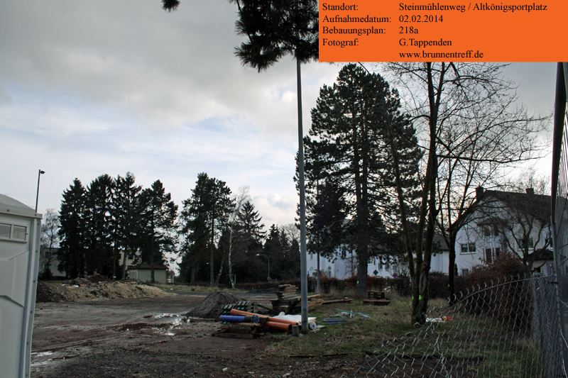 09-baeume-altkoenigsportplatz.jpg 09-baeume-altkoenigsportplatz.jpg