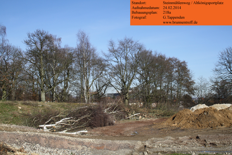altkoenigsportplatz-baeume-24022014b.jpg altkoenigsportplatz-baeume-24022014b.jpg